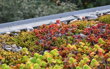 the cost of Dibberford green roof installation