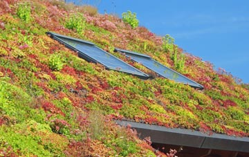 Dibberford living roof systems