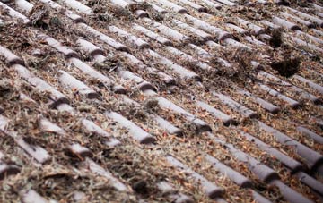 Dibberford roof cleaning companies