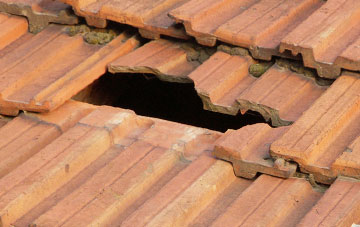 roof repair Dibberford, Dorset