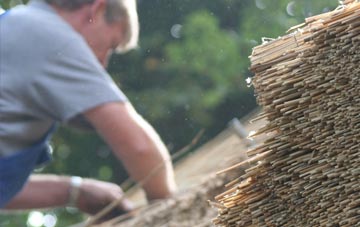 professional Dibberford thatchers