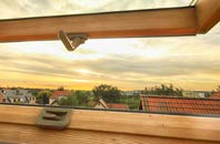 rated Dibberford roof window companies